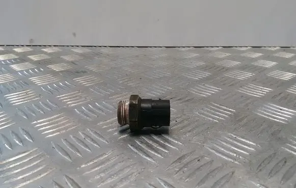 Volkswagen Sharan Coolant temperature sensor 1H09594818