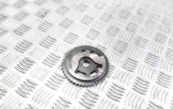 Opel Zafira B Timing chain sprocket 24407484