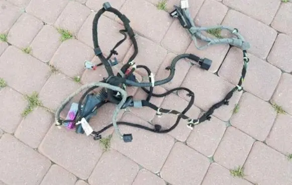 Opel Insignia A Front door wiring loom 22813780
