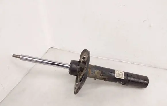 Honda Civic X Front shock absorber/damper 51610TGLG010M1 22310260