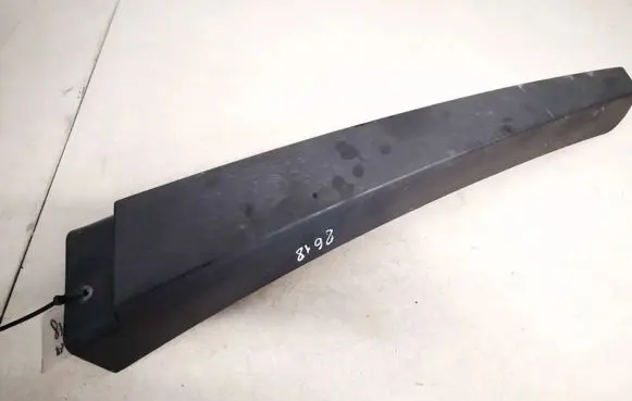 Renault Megane II Rear door glass trim molding 8200073436