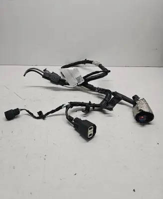 Other wiring loom
