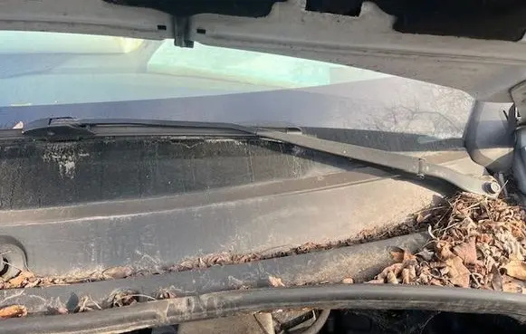 Buick Roadmaster Front wiper blade arm 