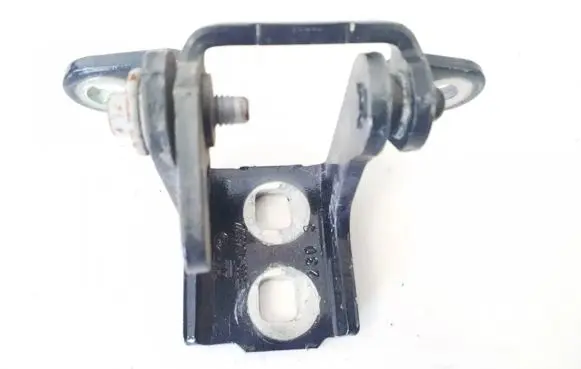 Rear door lower hinge