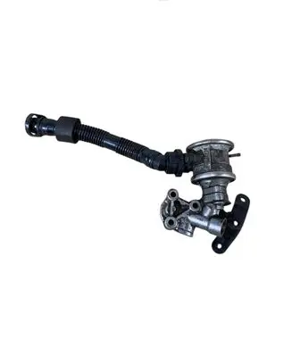 EGR valve