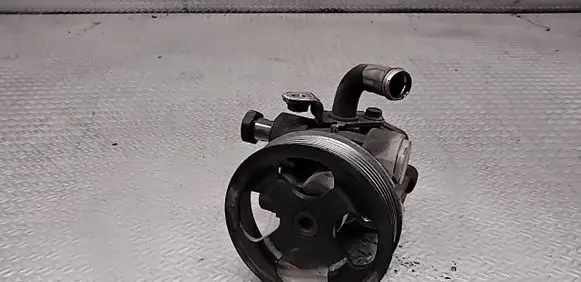 Mitsubishi Grandis Power steering pump 