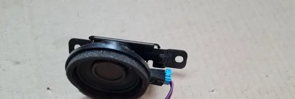 Panel speaker