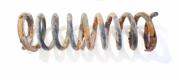 Rear coil spring