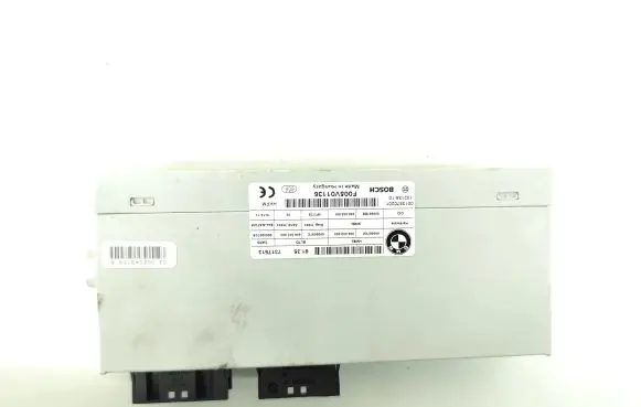 BMW 5 F10 F11 Tailgate/trunk control unit/module 7317513