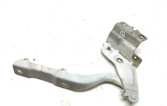 Renault Talisman Engine bonnet/hood hinges 654002504R