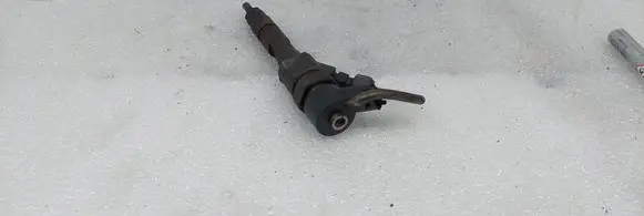 Renault Laguna II Fuel injector 0445110021 7700111014