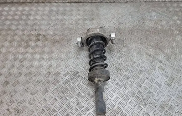 Porsche Cayenne (92A) Rear shock absorber/damper 7p0512301