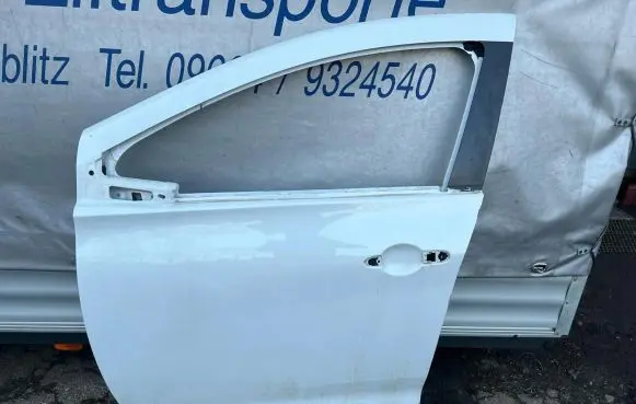 Renault Zoe Door (2 Door Coupe) 80113927R