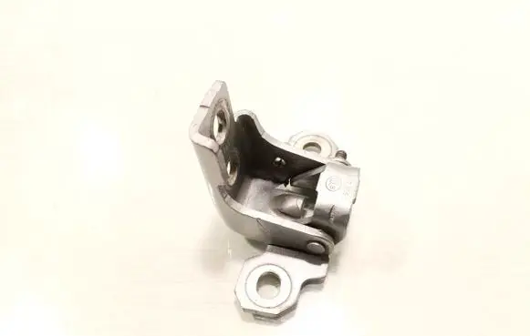 Renault Captur Front door lower hinge 804000016RF