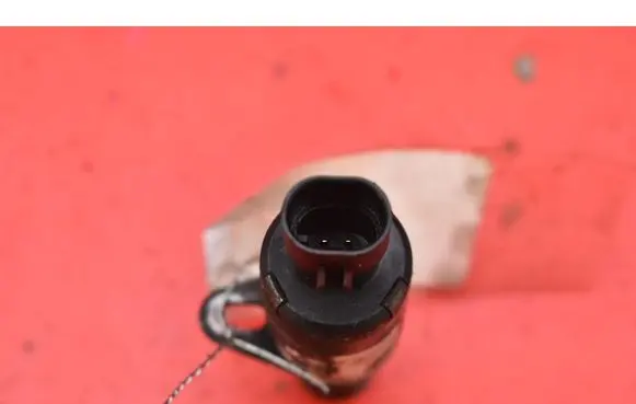 Fiat Punto (199) Sensor 
