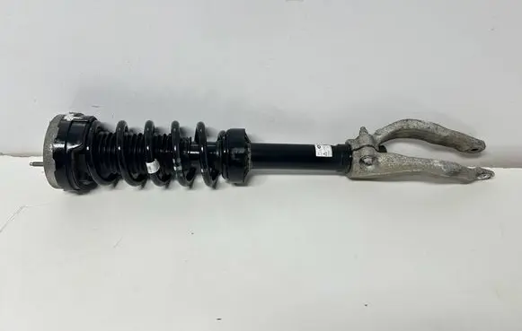 Jaguar F-Pace Front shock absorber with coil spring MK8318B036FB