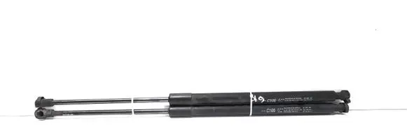 Chevrolet Captiva Tailgate/trunk strut/damper 96830123