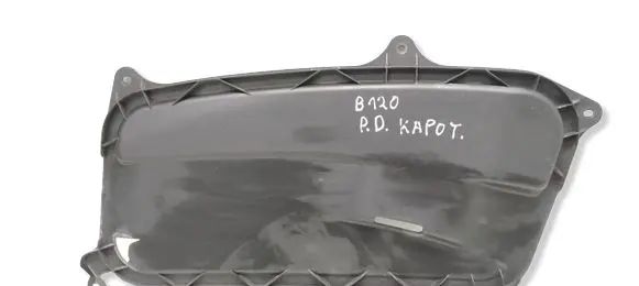 Mercedes-Benz SLK R171 Bonnet/hood grill A1718890225