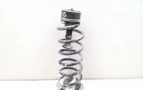 Nissan Qashqai Rear coil spring