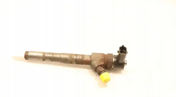 Opel Insignia A Fuel injector 0445110423