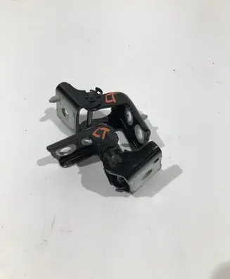 Opel Grandland X Rear door hinge set DG7584