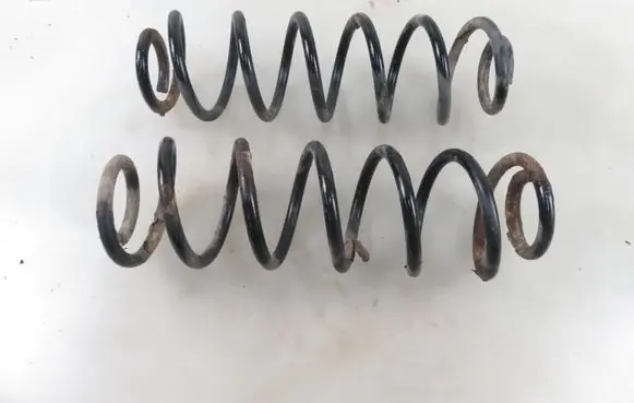 Volkswagen Bora Rear coil spring 