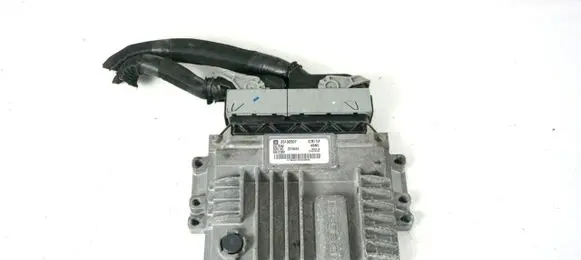 Opel Antara Engine control unit/module ECU 25190507 ABN5