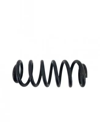 Audi A6 S6 C6 4F Front coil spring