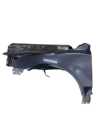 Volkswagen Touareg I Fender