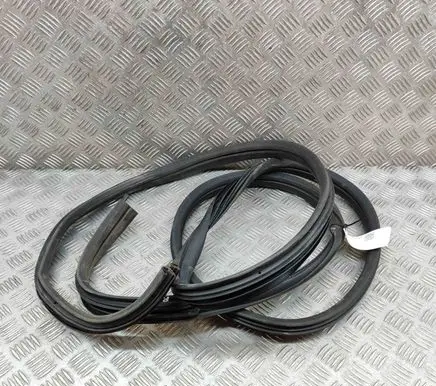 Fiat Talento Rubber seal front coupe door 6000620560