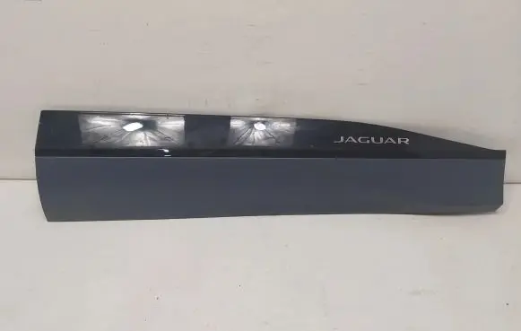 Jaguar I-Pace Front door trim (molding) J9D321064A