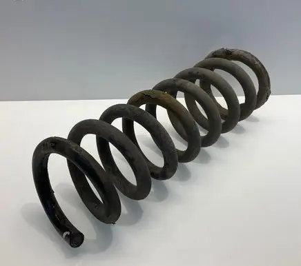 Rear coil spring