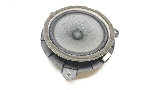 Rear door speaker