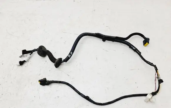 Front door wiring loom