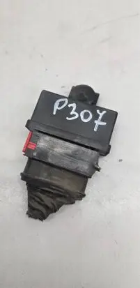 Peugeot 307 Fuel injection pump control unit/module 240107