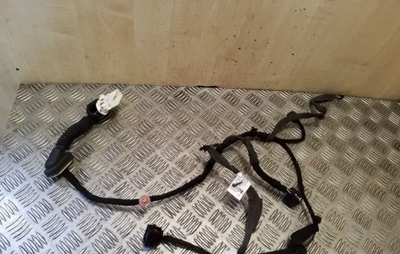 Rear door wiring loom