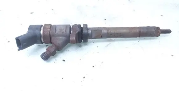 Ford Focus Fuel injector 0445110239