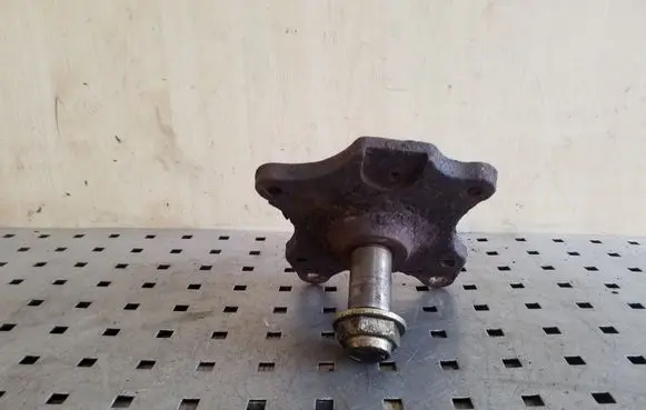 Citroen C4 I Stub axle 