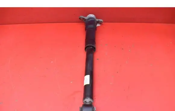 Hyundai Kona I Rear shock absorber/damper 55300BE400