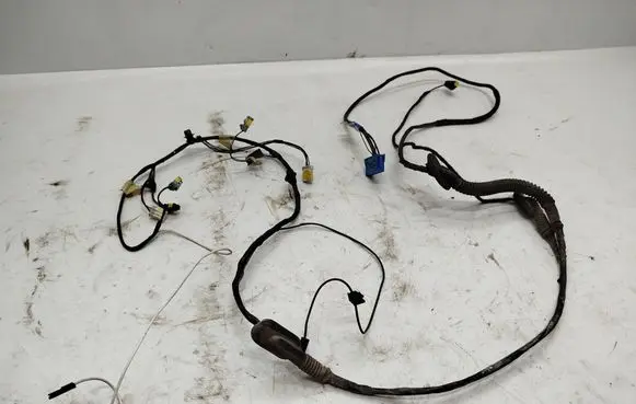 Renault Laguna II Wiring harness A01054S 55RDH1403