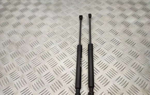 Renault Kangoo II Tailgate/trunk strut/damper 654706489R
