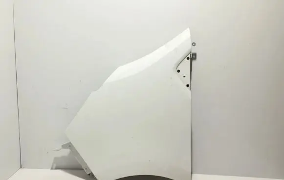 Renault Trafic III (X82) Fender 631018862R