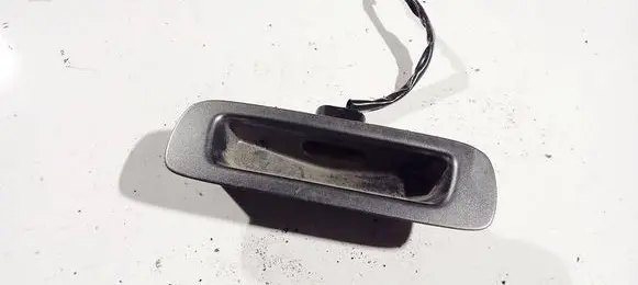 Other rear door trim element