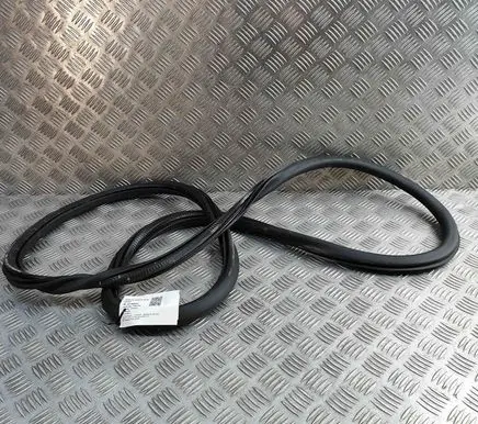 Peugeot 3008 III Rubber seal rear door 9841055180