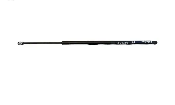 Tailgate/trunk strut/damper