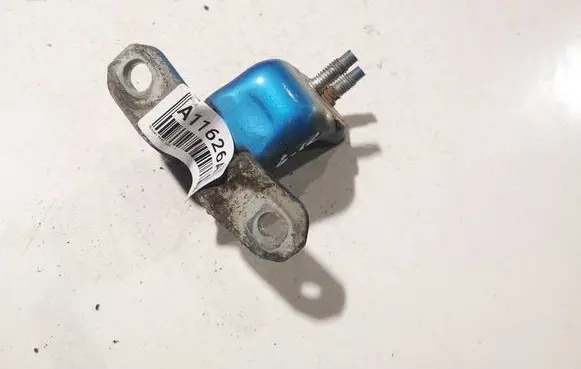 Nissan Pixo Rear door lower hinge