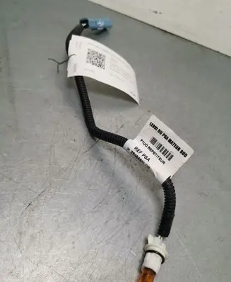 Peugeot 5008 Other wiring loom 9825484980