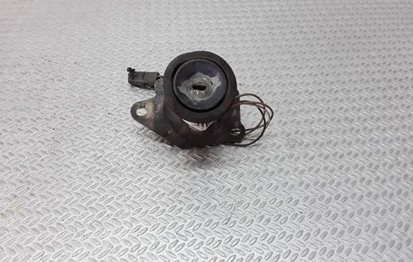 Fiat Punto (188) Tailgate/trunk/boot lock/catch/latch