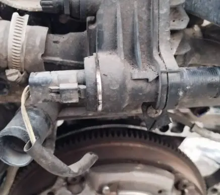 Citroen Jumpy Engine coolant pipe/hose