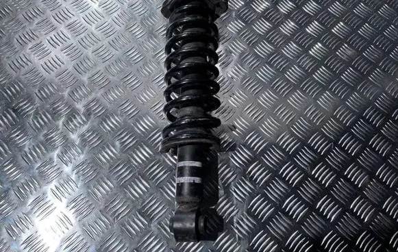 Mitsubishi Outlander Rear shock absorber/damper 4162A492